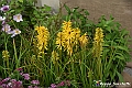 VBS_3532 - Floreal 2023 - Vivere con le piante